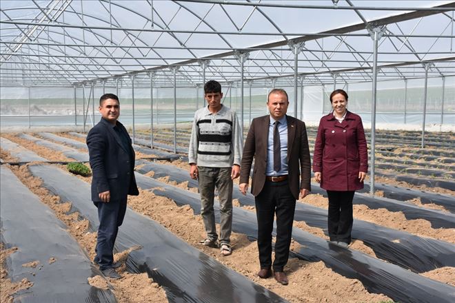 Seraların Yapımında Sona Gelindi