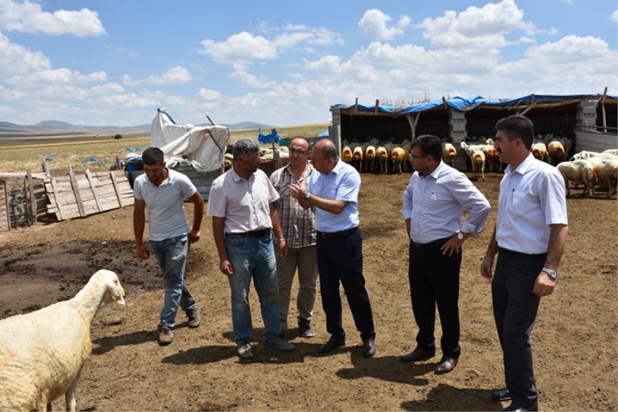 Saklav ve Aktürk Tarafından Küçükbaş İşletmeleri Ziyaret Edildi