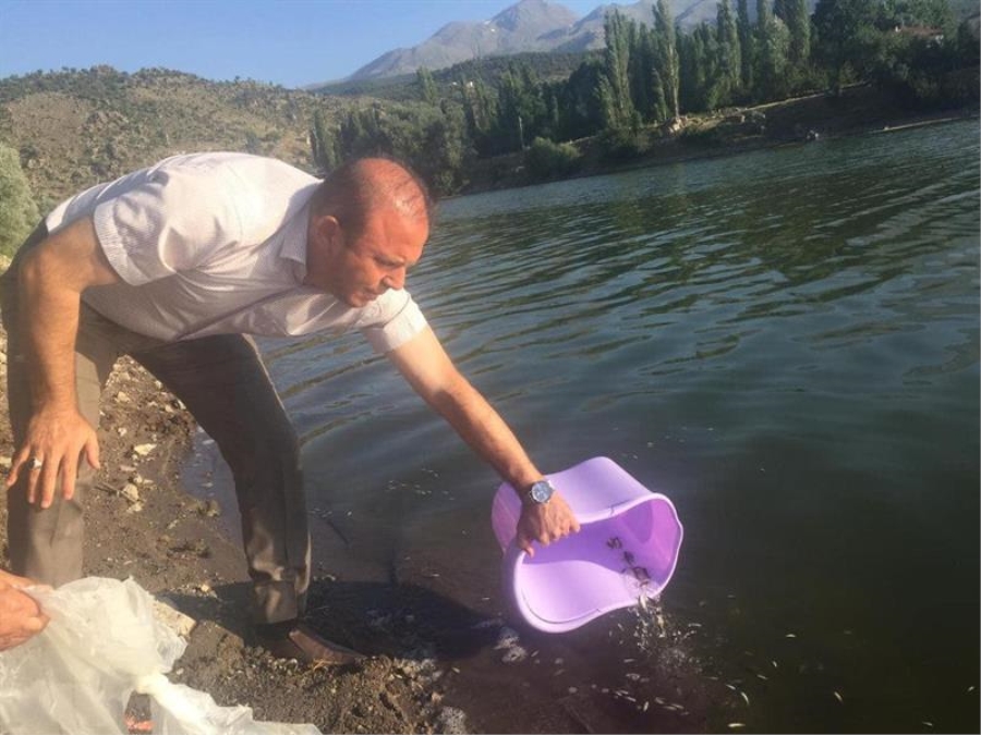İLİMİZDEKİ GÖLETLER BALIKLANDIRILDI