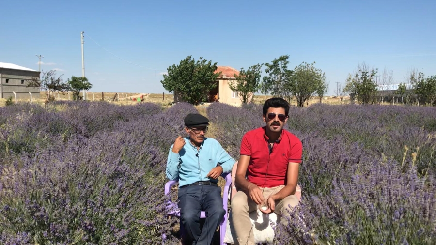 Eskil’de Lavanta Yetiştiriciliği
