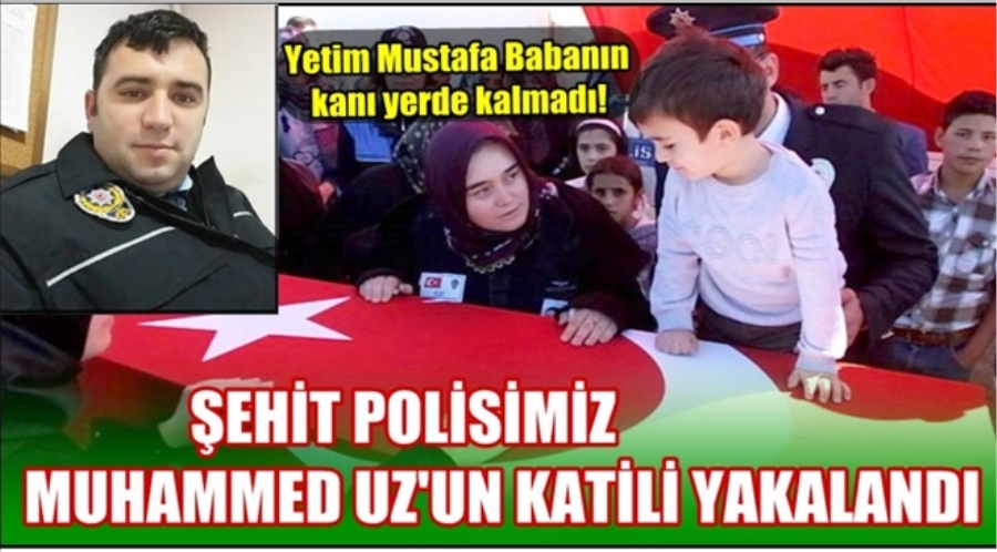 Şehit
