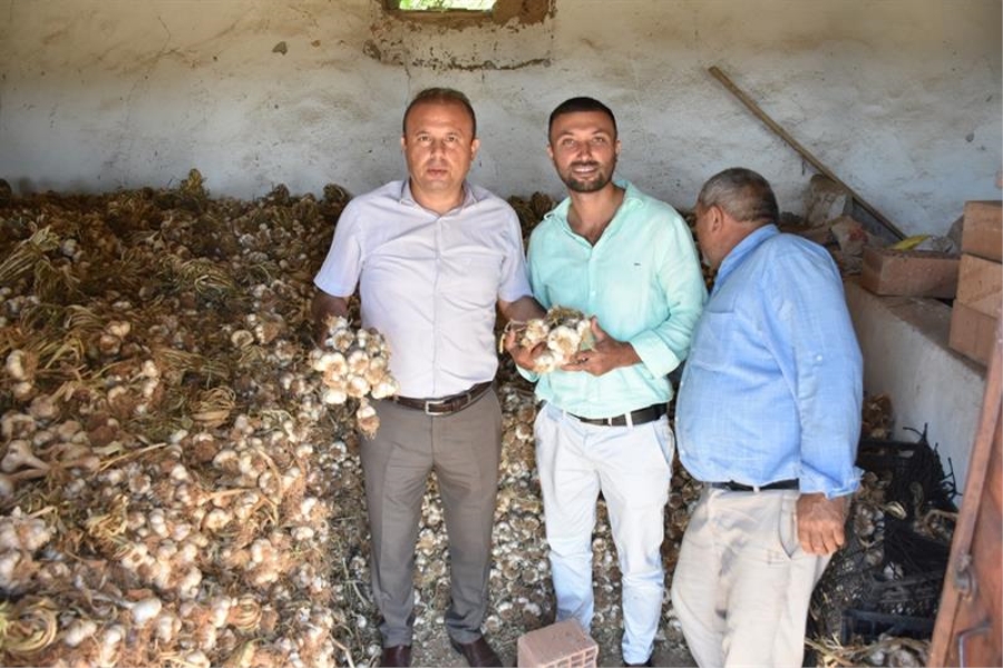 AKSARAY