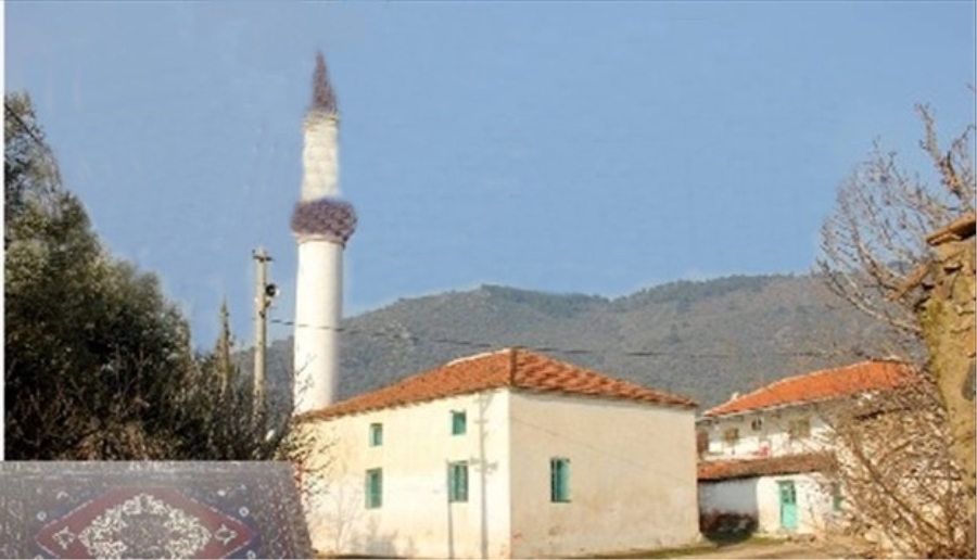 Halı Hırsızı Yakalandı 