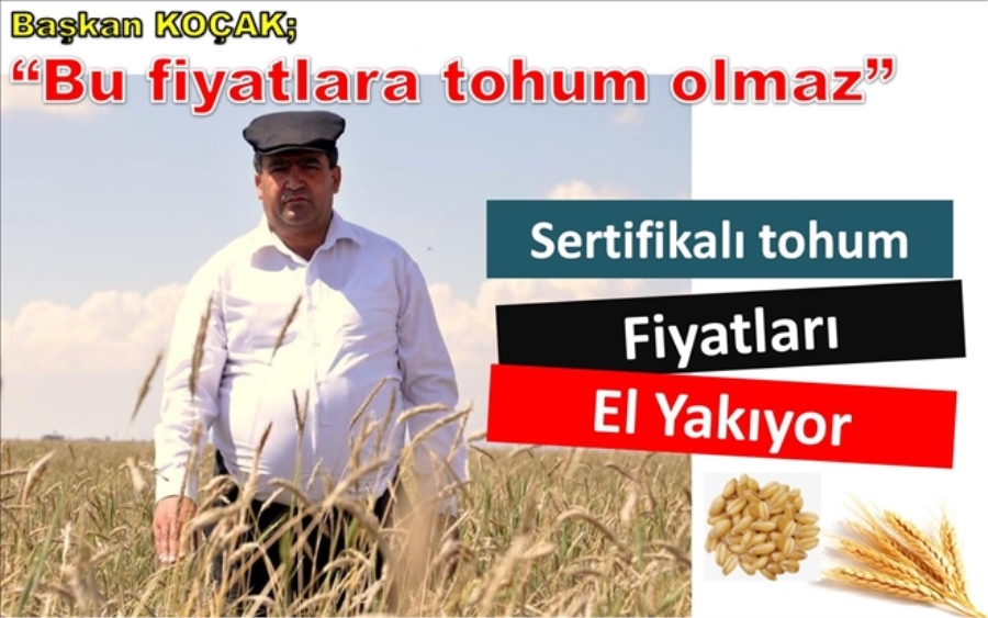 SERTİFİKALI TOHUM FİYATLARI EL YAKIYOR
