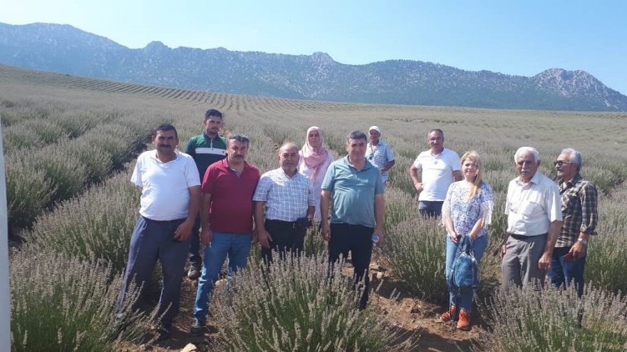 Aksaray’da Tıbbi Aromatik Bitkiler Konusunda Teknik Gezi Yapıldı