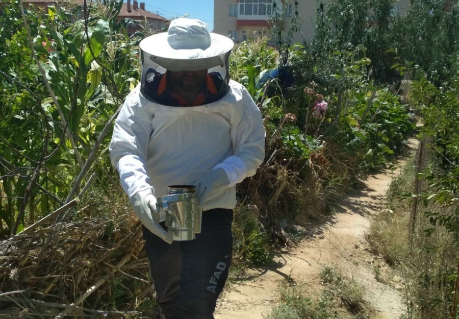 Arı Isırması Vatandaşı Hastahanelik Yaptı