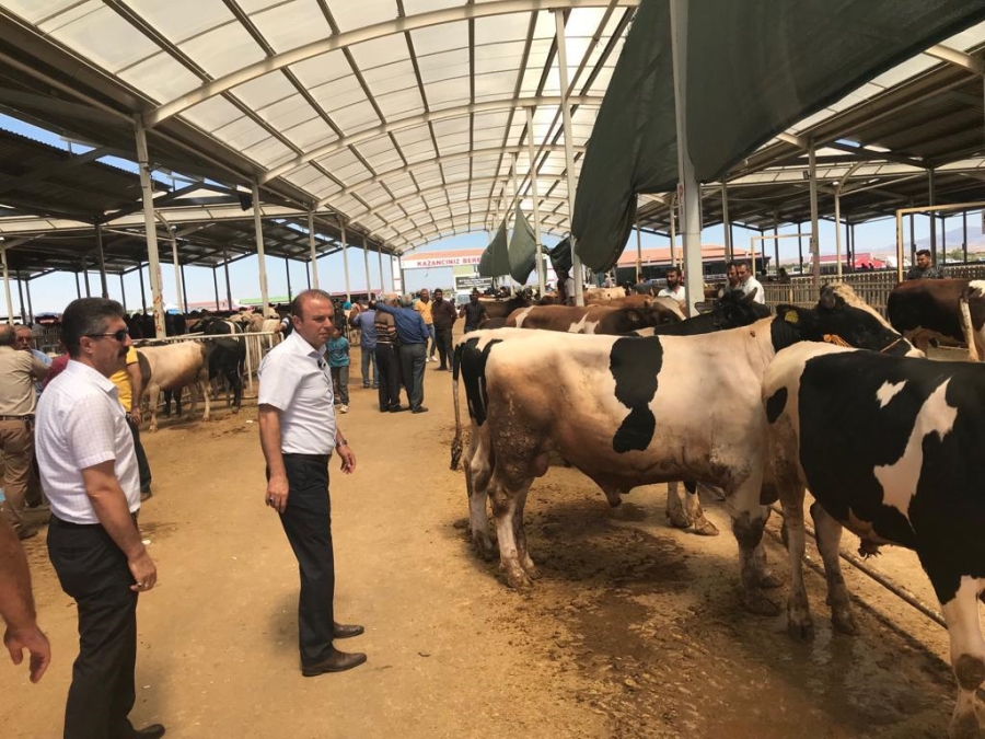 Aksaray’da  Kurban Bayramı Öncesi Denetimler Arttı