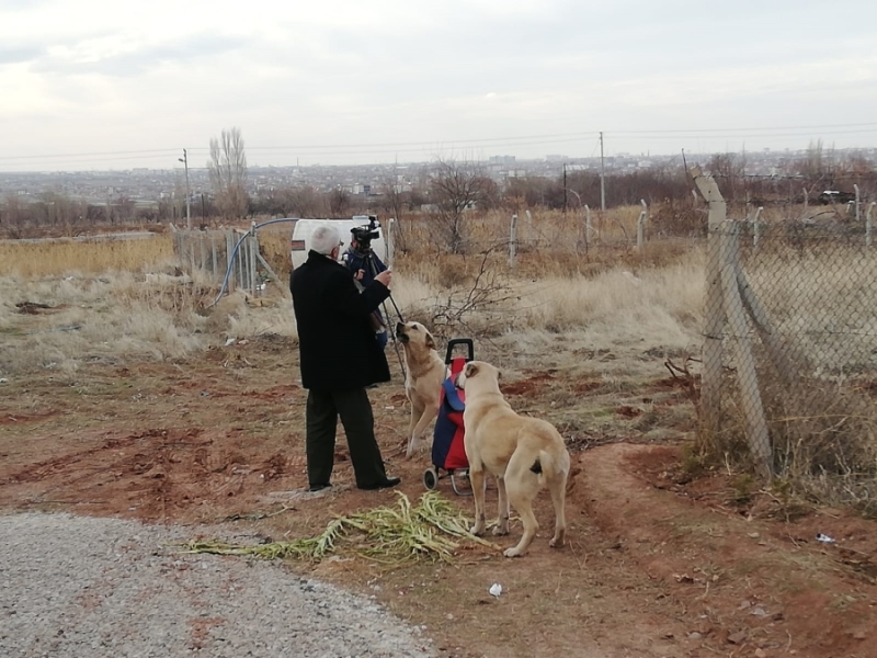 Aksaray