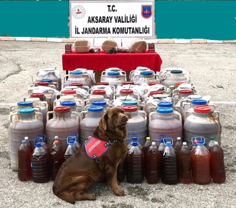  Jandarma Güzelyurt