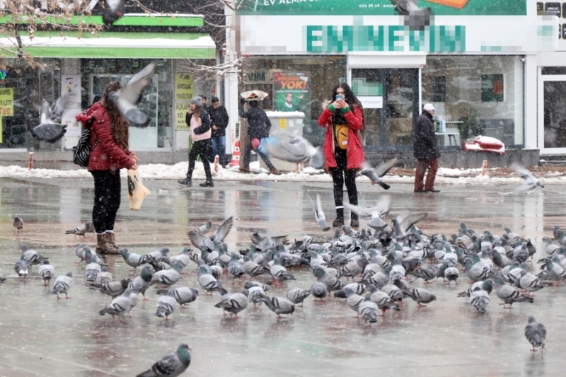 Soğuk Havada Vatandaş Kuşları Besliyor