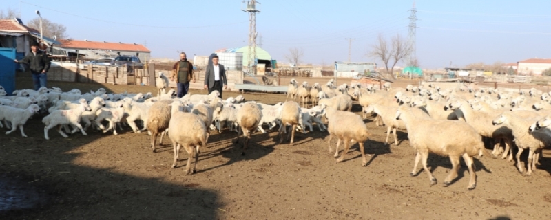  Aksaray