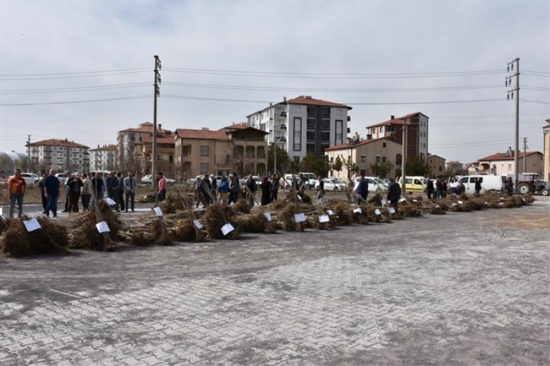 Daha Yeşil Bir Aksaray İçin Meyve Fidanı Dağıtım Töreni Düzenlendi