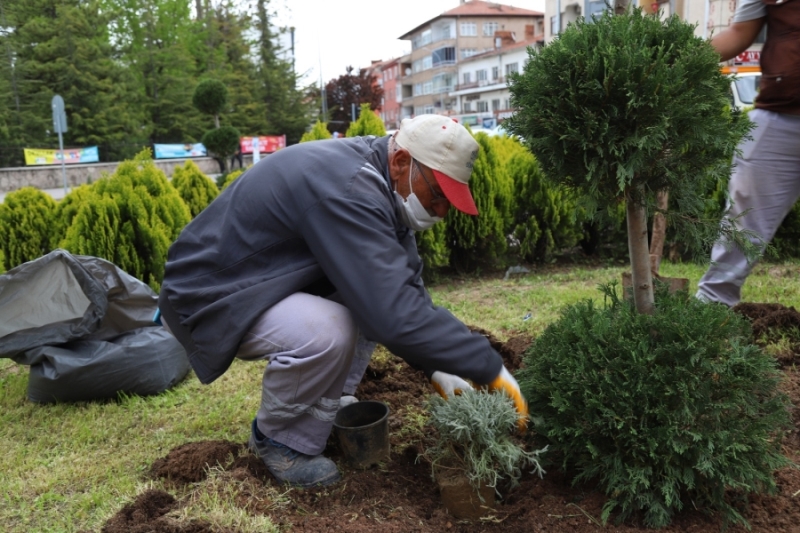 AKSARAY BELEDİYESİNDEN ŞEHRE YEŞİL DOKUNUŞ