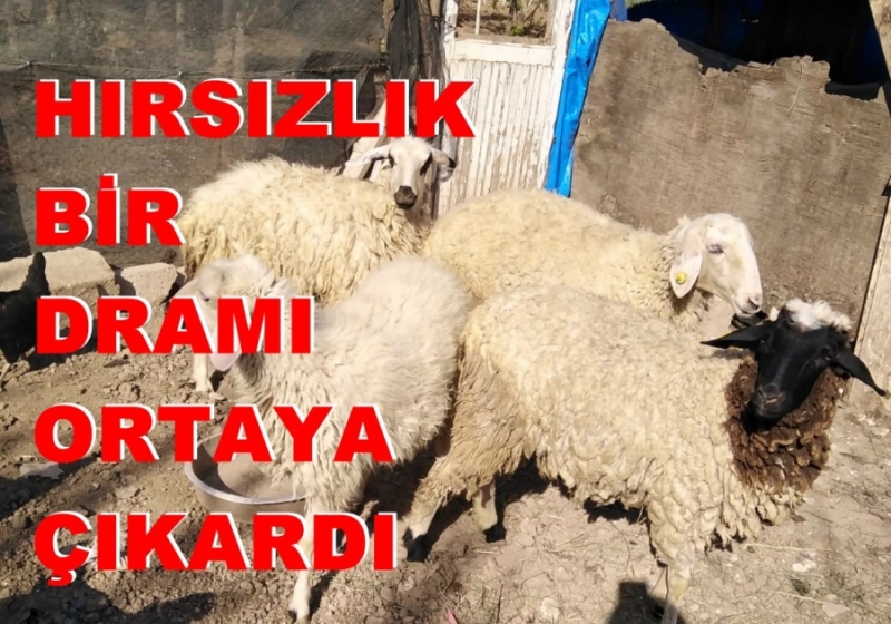 Aksaray