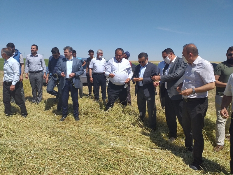 k Parti heyeti Eskil, Sultanhanı ve Eşmekaya bölgesinde afeti inceledi