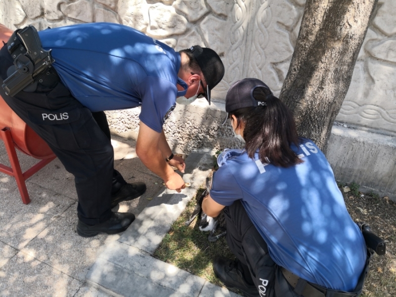 Yaralı flamingoyu polis memurları elleriyle besledi