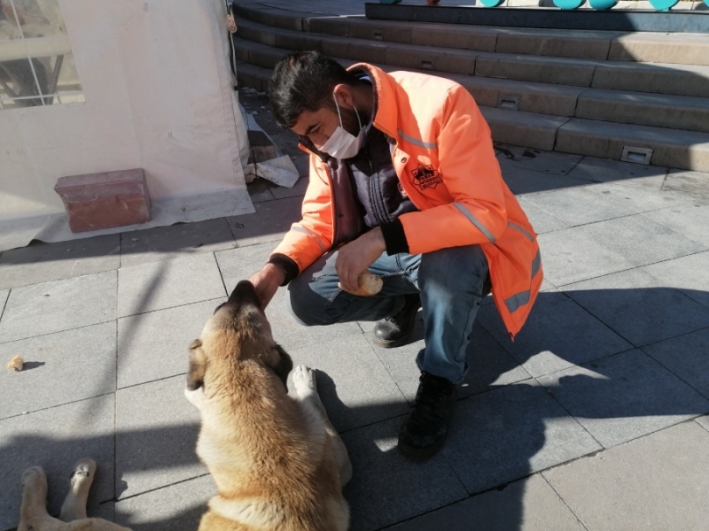 Hem temizlik yapıyor hem de sokak hayvanlarını besliyor