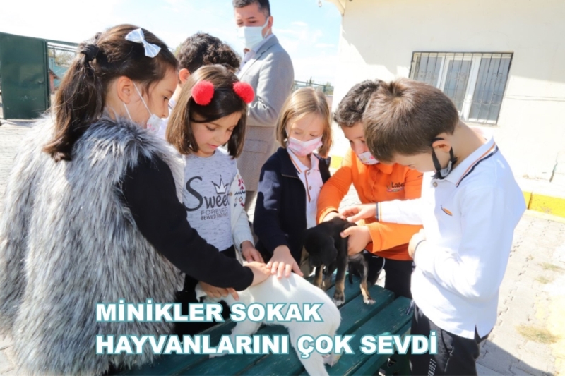 BARINAĞIN MİNİK ZİYARETÇİLERİ SOKAK HAYVANLARINA KUCAK AÇTI