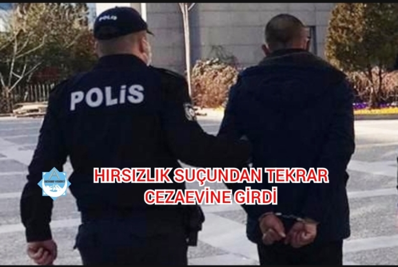 Pandemi nedeniyle çıktığı cezaevine hırsızlık suçundan tekrar girdi