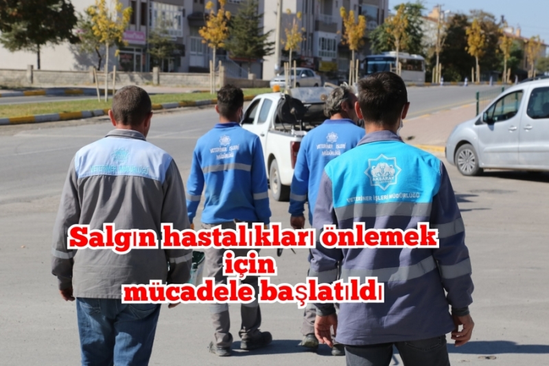 Aksaray belediyesi kemirgenlerle karşı mücadele başlattı
