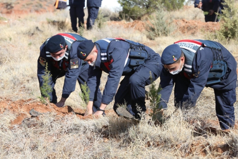 Geleceğe nefes olmak için Aksaray’da binlerce fidanı toprakla buluşturuluyor