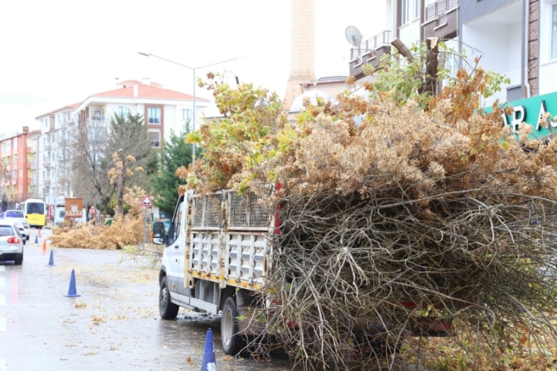 Park ve Bahçelerde Kış Hazırlıkları Başladı