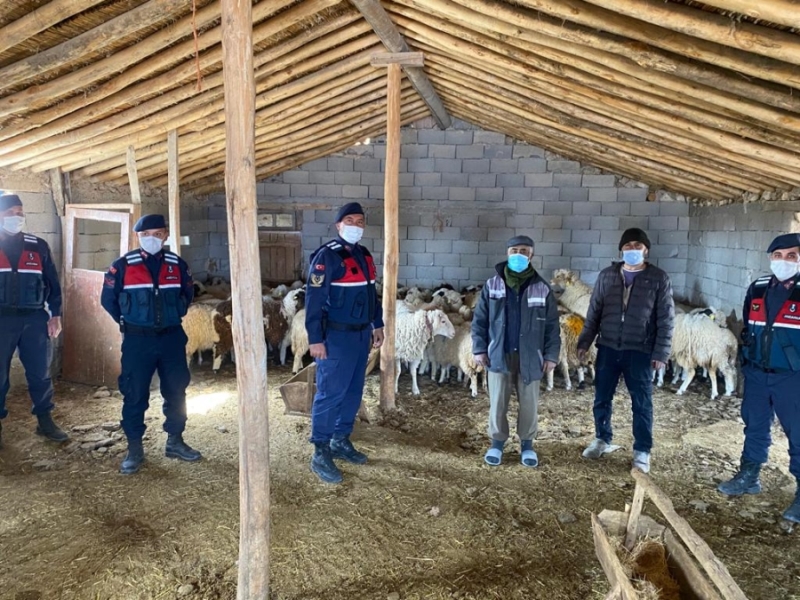 Kayıp koyunları jandarma ekipleri drone ile buldu 