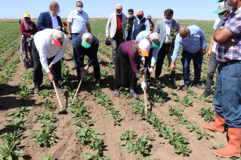 Anlamıyorum dünya çiftçiler günü Aksaray