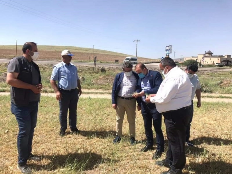 Emin Koçak Meteorolojik Kuraklık yerini Tarımsal Kuraklığa bıraktı dedi