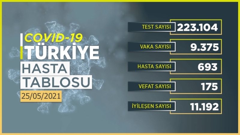 9 bin 375 kişinin COVID-19 testi pozitif çıktı, 175 kişi hayatını kaybetti. 