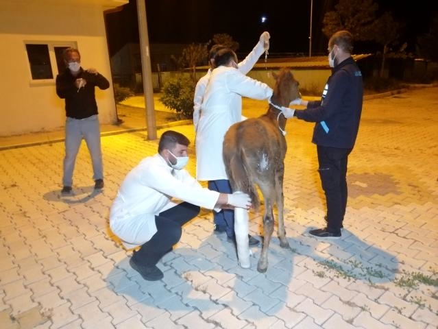 Aksaray