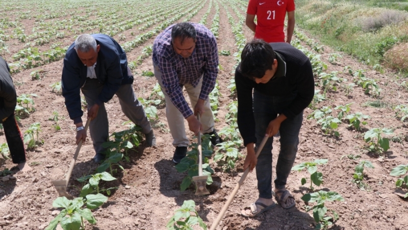 Aksaray