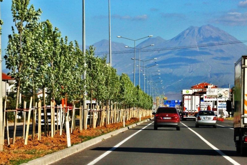 E-90 KARAYOLUNUN ORTA REFÜJÜ BİTKİLERİN YETİŞMESİ İÇİN ELVERİŞLİ HALE GELDİ 
