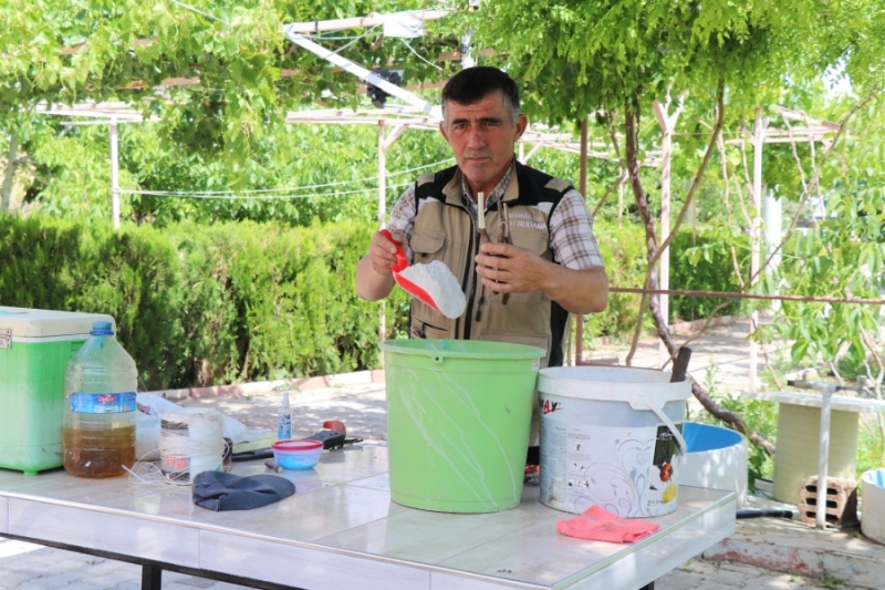 Ağaç aşılamasında yüzde yüzlük buluş