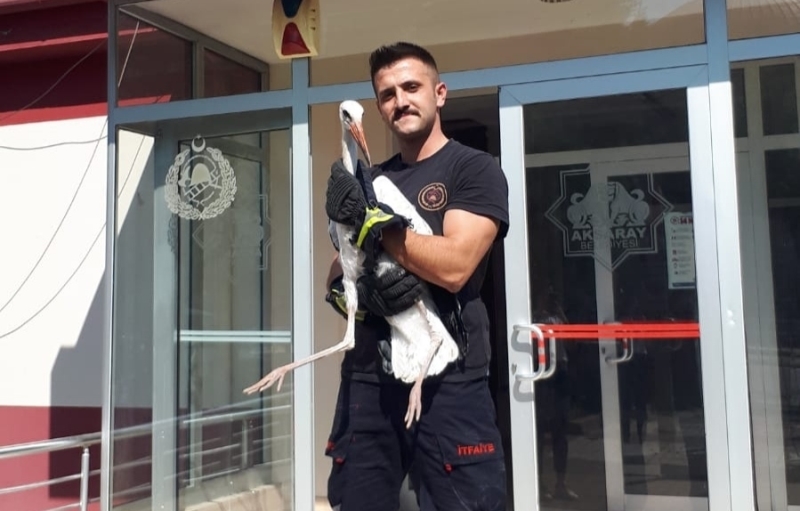ELEKTRİK TELLERİNE TAKILAN YAVRU LEYLEĞİN YARDIMINA BELEDİYE EKİPLERİ YETİŞTİ