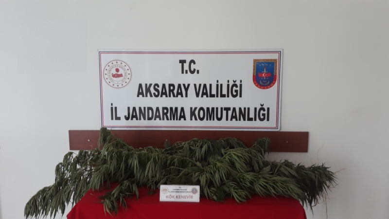 Aksaray