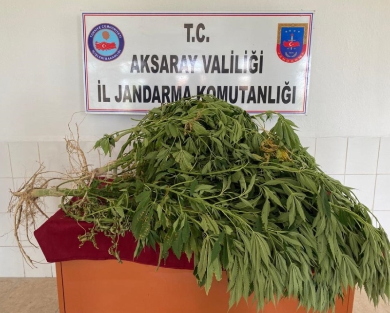Aksaray