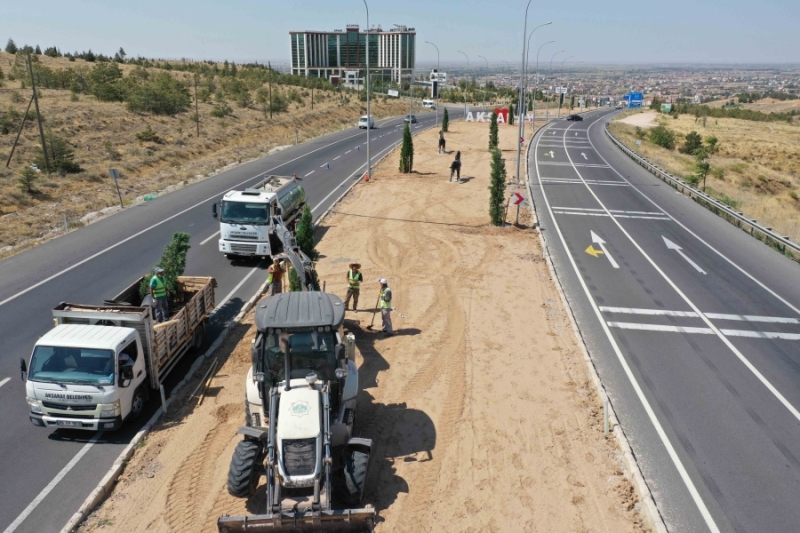 AKSARAY BELEDİYESİ’NİN AĞAÇ DİKİM SEFERBERLİĞİ DEVAM EDİYOR