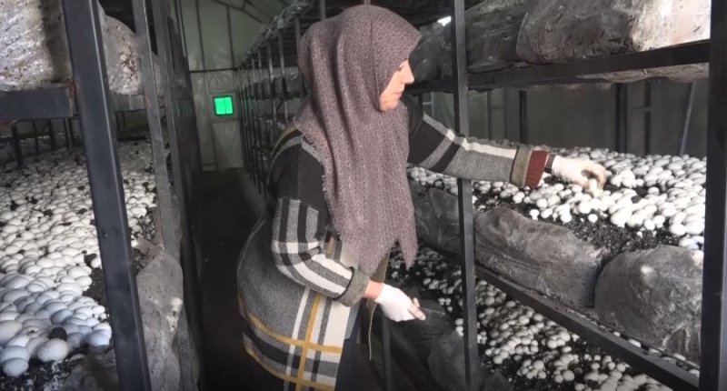 Azmetti Başardı ve Evinin Geçimini Sağladı 