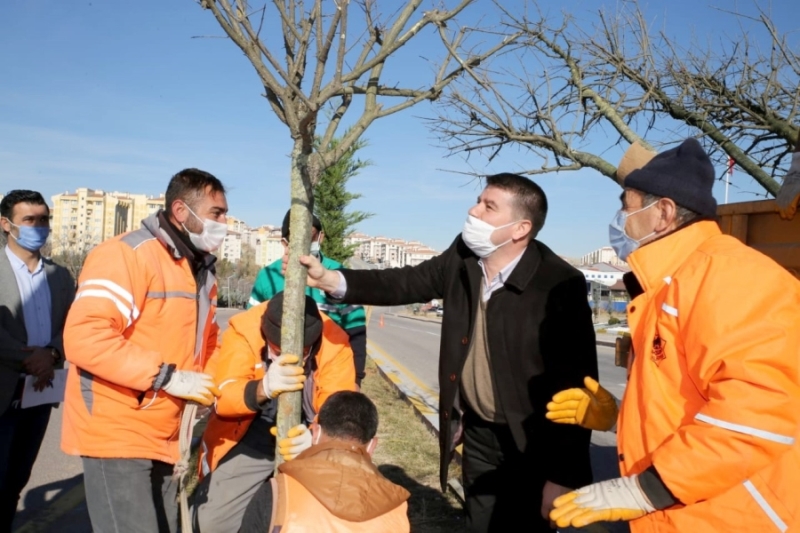 2021 Yılı Aksaray İçin Ağaçlandırma Yılı Oldu