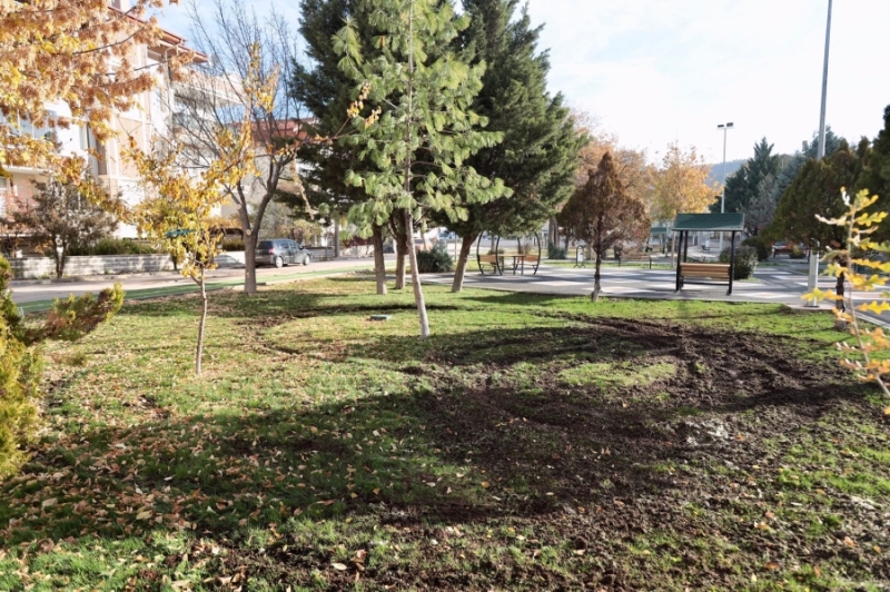 Park İçerisinde Drift Yapılması Tepkiyle Karşılandı 