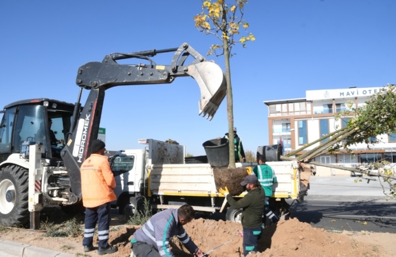 AKSARAY 200 BİN AĞAÇ HEDEFİNE DOĞRU İLERLİYOR