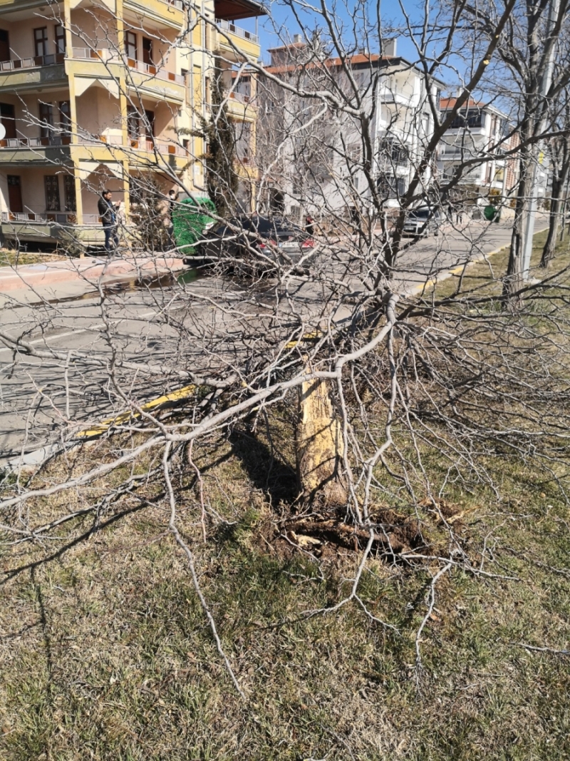 Aksaray