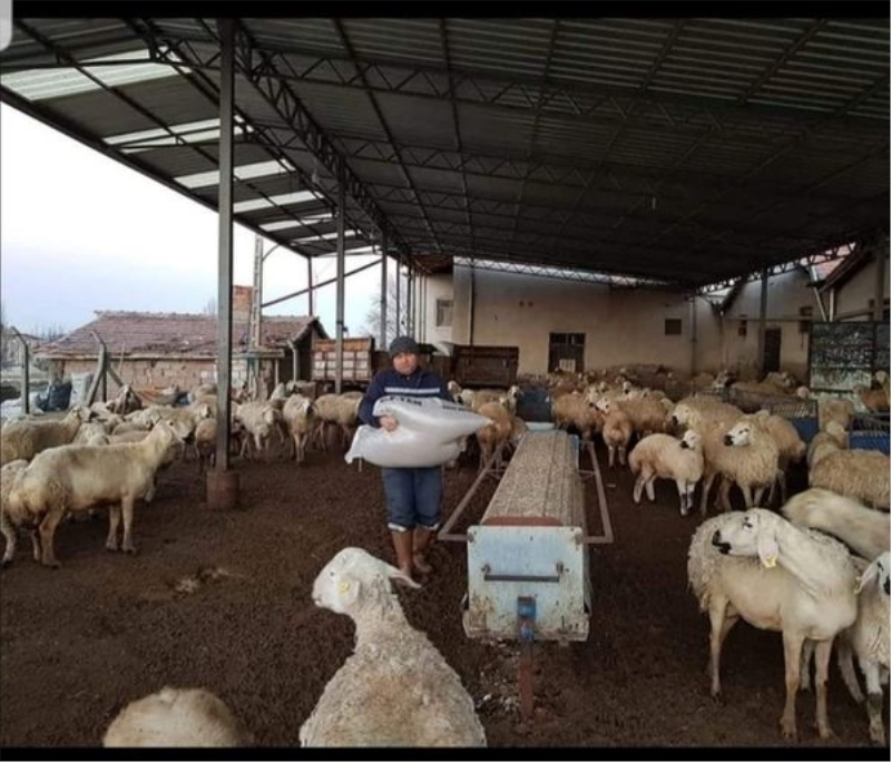 Emeginizin karşılığını,alnımızın terini istiyoruz