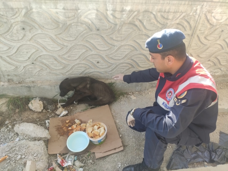 Aksaray Jandarmasının  merhameti duygulandırdı