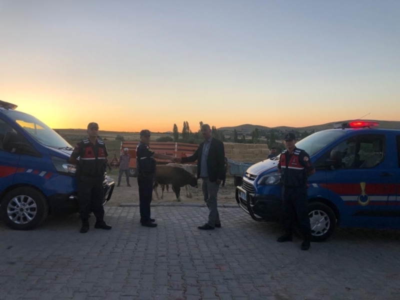 Hayvan Hırsızı Yakalandı Hayvanlar Sahibine Teslim Edildi