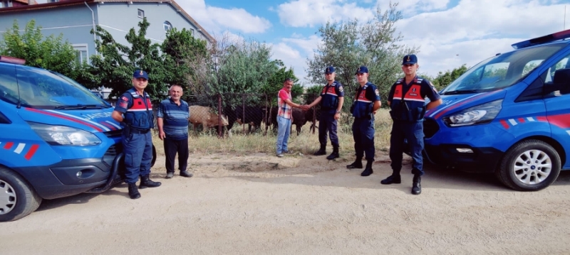Aksaray jandarması kaybolan 5 büyükbaş hayvanı termal kameralı İHA ile bularak sahibine teslim etti
