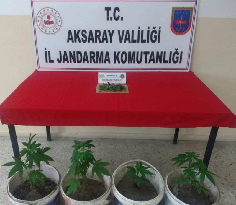 Evinde kubar esrar ve kenevir bulunduran 1 kişi yakalandı 