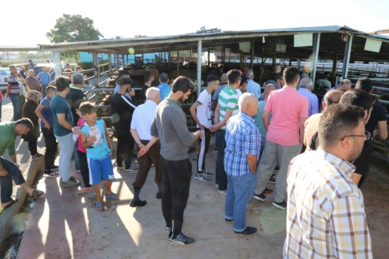 VATANDAŞLARIN HUZURLA KURBAN İBADETİNİ YERİNE GETİRMELERİ İÇİN TEDBİRLER ALINDI