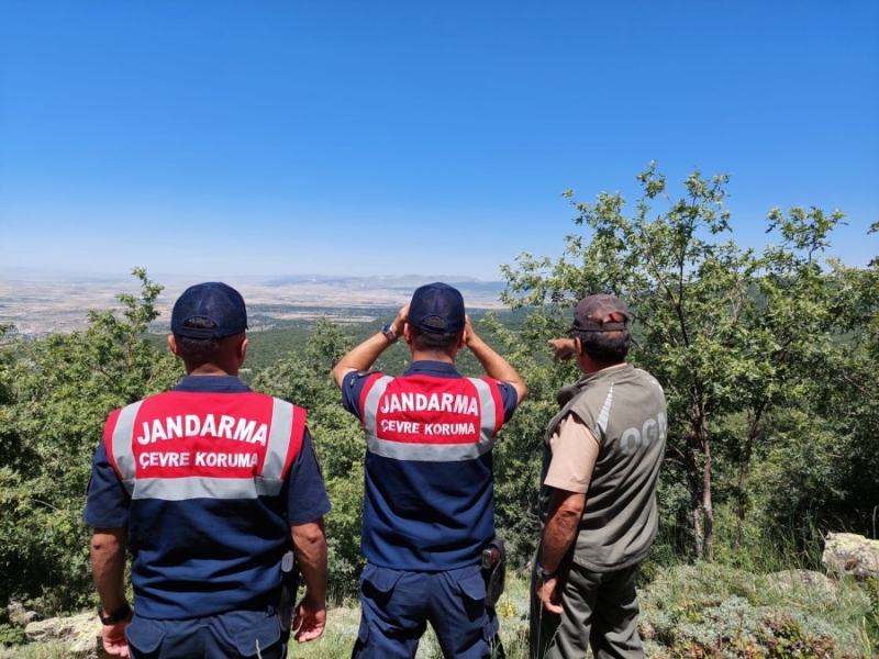 Orman Yangınlarını Önlemek İçin Tedbirler Alınıyor 